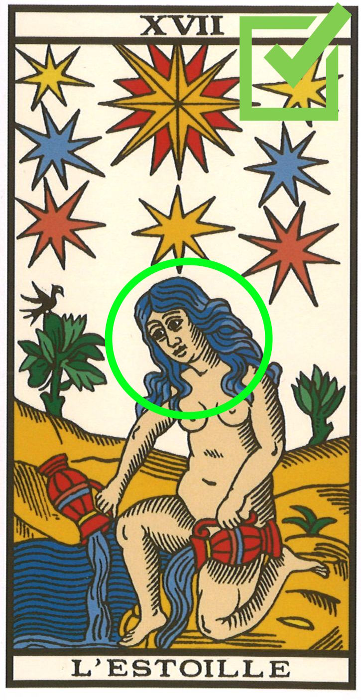 Le Véritable Tarot de Marseille de Kris Hadar